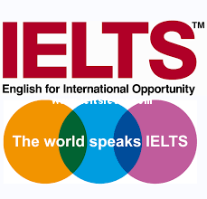 how do you answer IELTS true false or not given questions correctly?