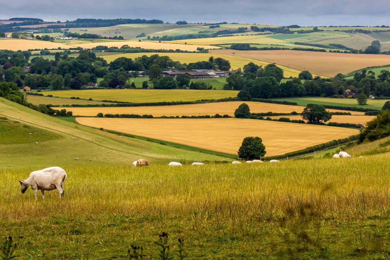 it-is-better-for-children-to-grow-up-in-the-countryside-than-in-a-big-city