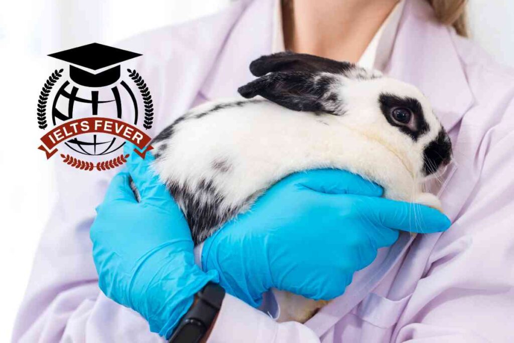 Should Animals Be Used in Testing New Drugs and Procedures?