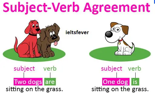 WRONG USAGE OF SUBJECT–VERB AGREEMENT ENGLISH GRAMMAR