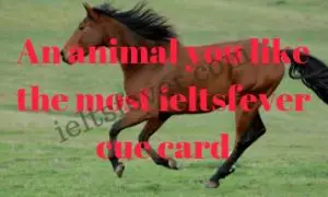 An animal you like the most ieltsfever cue card
