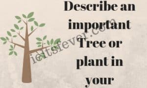 Describe an important Tree or plant in your country