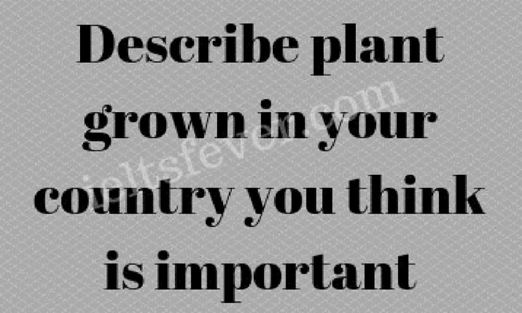 Describe Plant Grown in Your Country You Think Is Important