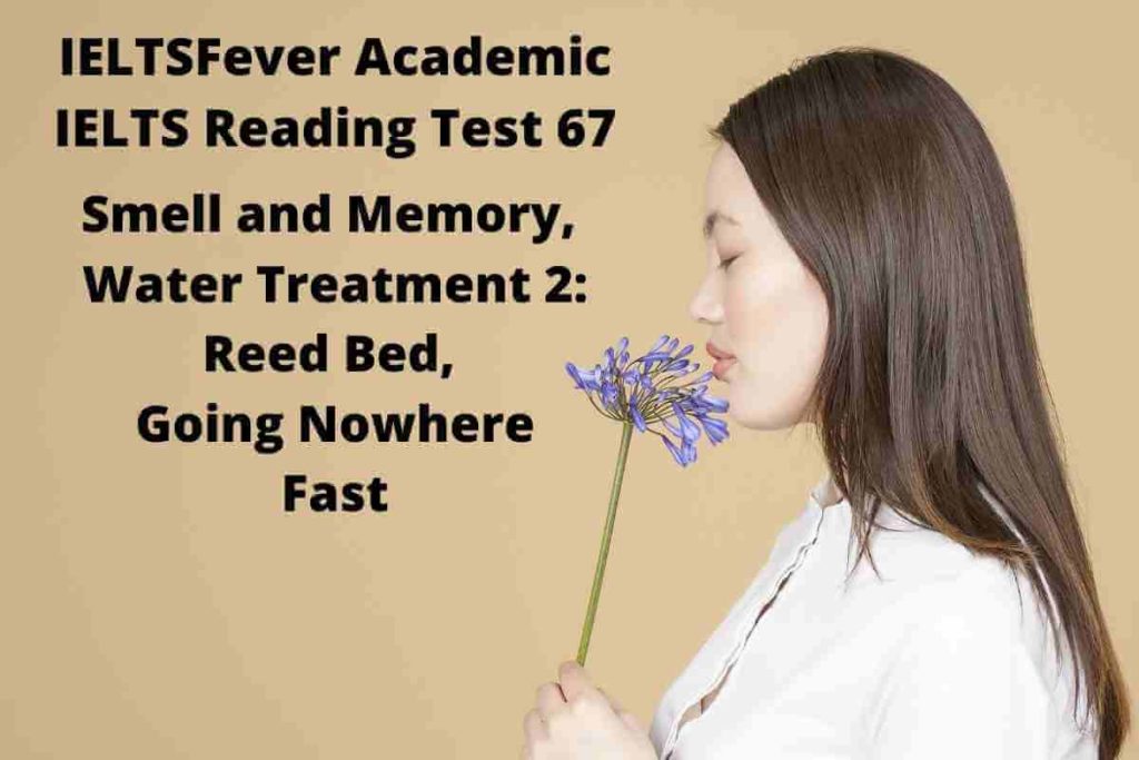 IELTSFever Academic IELTS Reading Test 67 ( Passage 1 Smell and Memory, Passage 2 Water Treatment 2: Reed Bed, Passage 3 Going Nowhere Fast