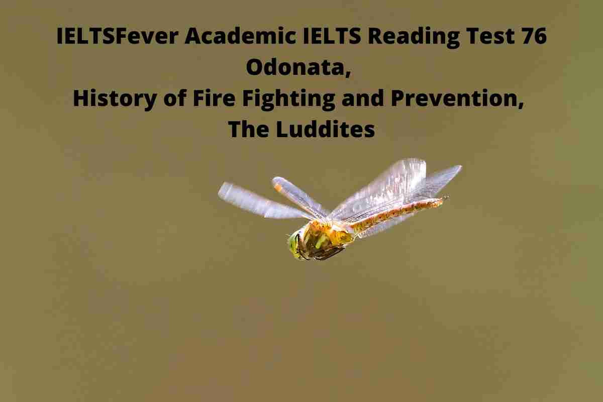 IELTSFever Academic IELTS Reading Test 76 - IELTS Fever