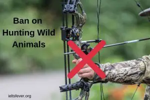 What are the reasons for declines of wild animals.Animals are an integral part of our eco-system. However, it is irrefutable that the percentage