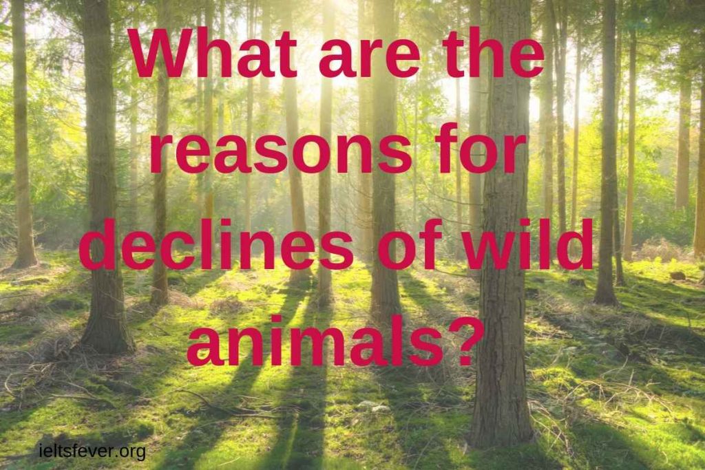 What are the reasons for declines of wild animals