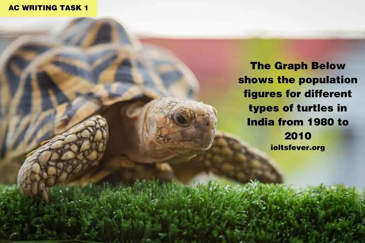 Population Figures for Different Types of Turtles in India