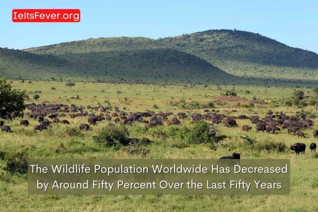 The Wildlife Population Worldwide Has Decreased by Around Fifty Percent Over the Last Fifty Years