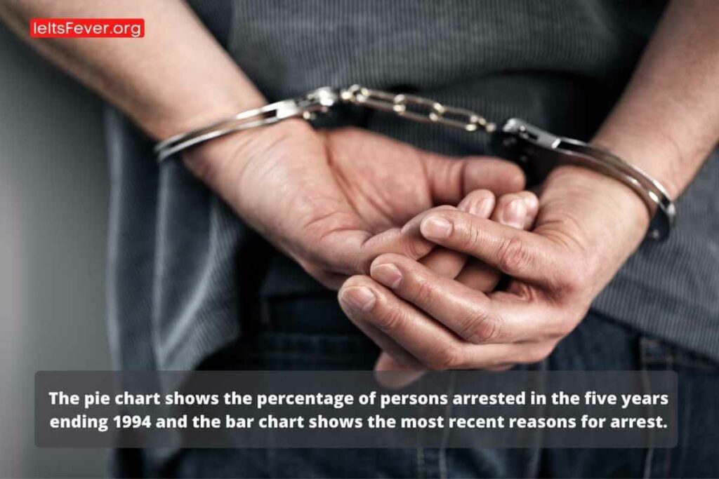 Pie Chart Shows the Percentage of Persons Arrested in the Five Years