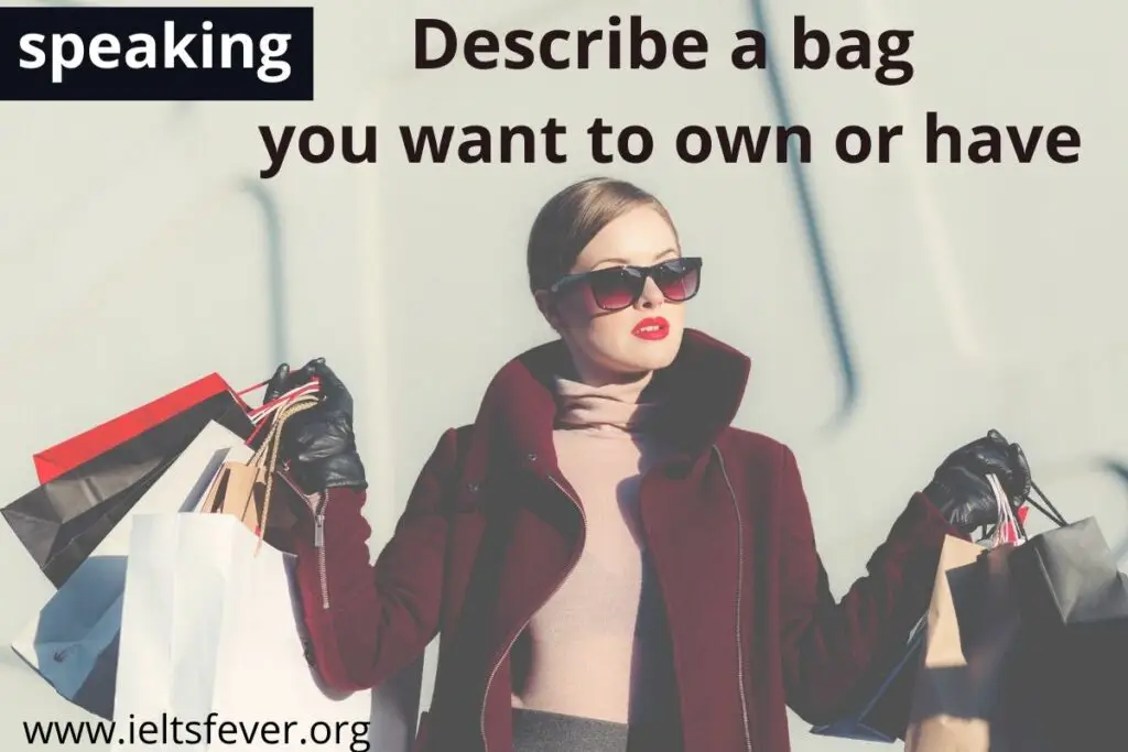 Describe a bag you want to own or have