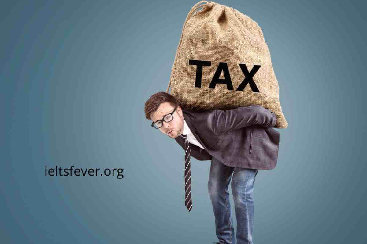 The Government in Many Countries Has Recently Introduced Special Taxes