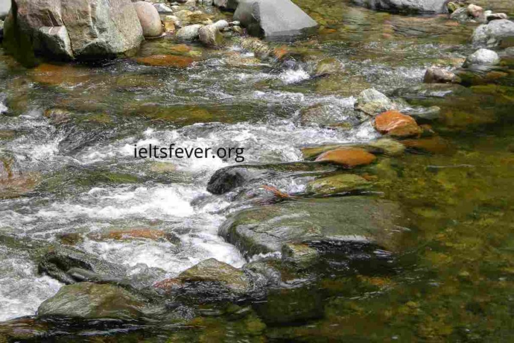 IELTSFever Academic IELTS Reading Test 111 With Answers Dirty river but clean water, Implication of False Belief Experiments 2, Age-Proofing our Brains