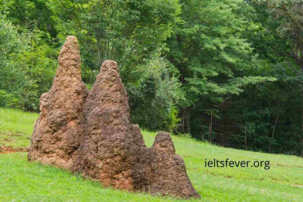 IELTSFever Academic IELTS Reading Test 115 With Answers Termite Mounds, The Sustainable architecture, Photovoltaics on the rooftop, Sir Francis Ronalds and Telegraph