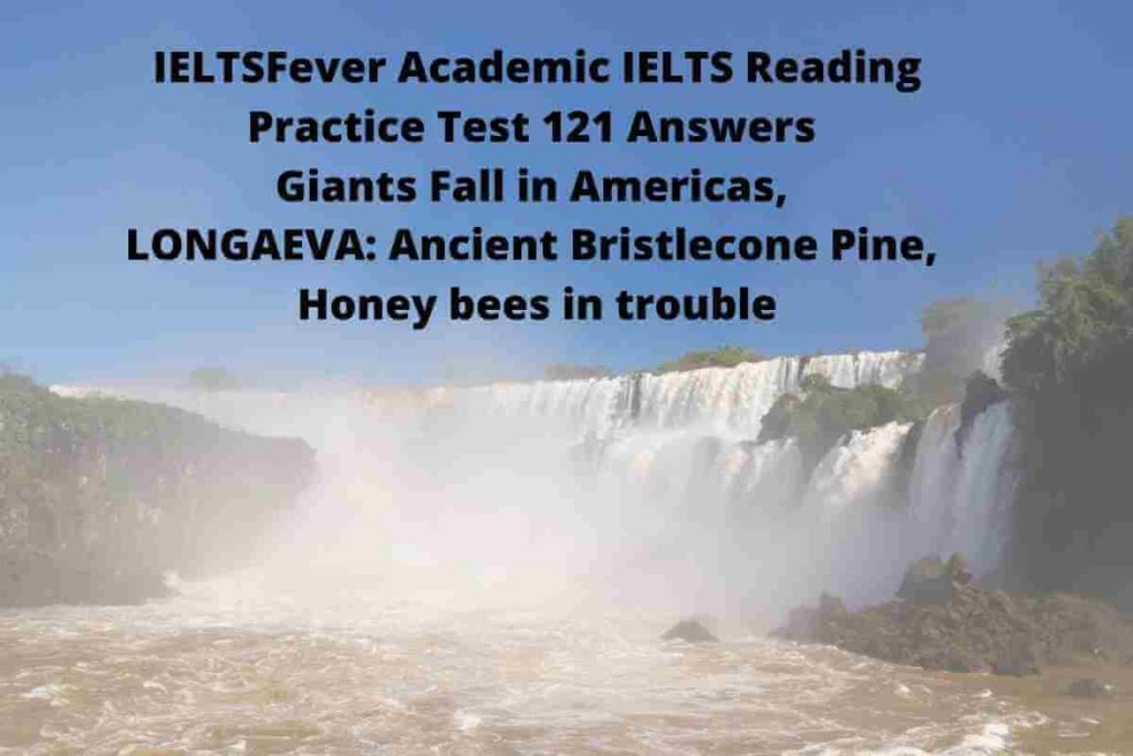 IELTSFever Academic IELTS Reading Practice Test 121 Answers Giants Fall in Americas, LONGAEVA: Ancient Bristlecone Pine, Honey bees in trouble