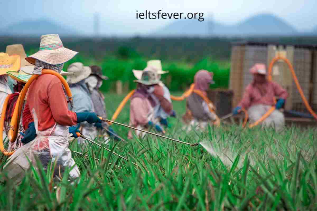 IELTSFever Academic IELTS Reading Test 135, New agriculture in Oregon, US, Inspired by Mimicking Mother Nature, The Secrets of Persuasion