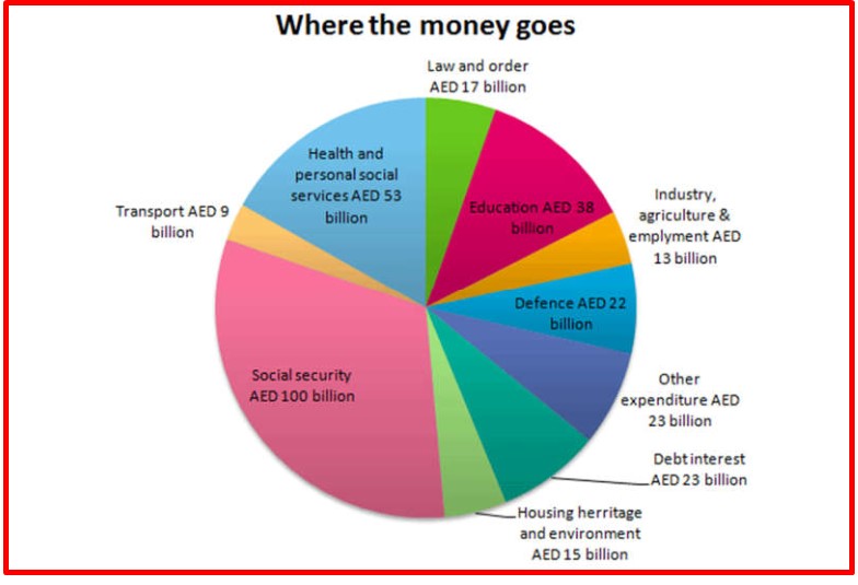 The pie chart gives information on UAE government spending in 2000