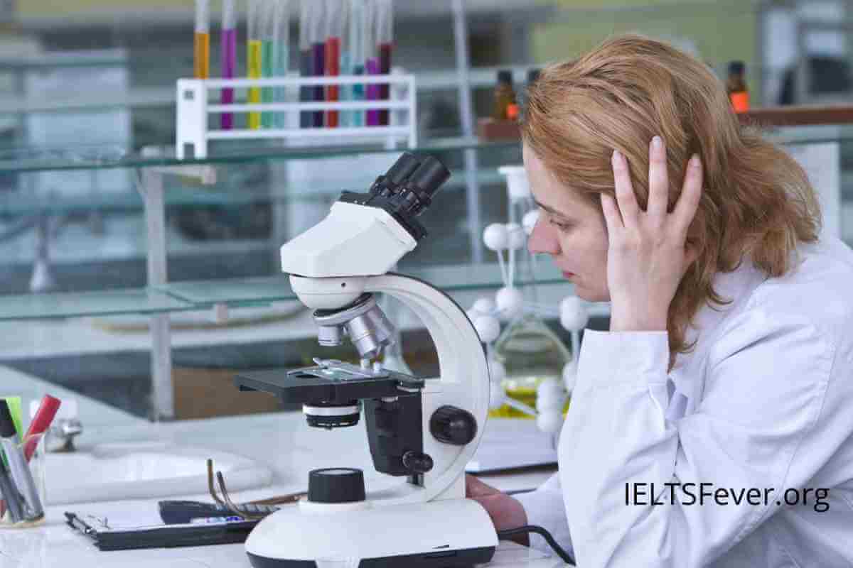Some People Think That Researching Previous Generations