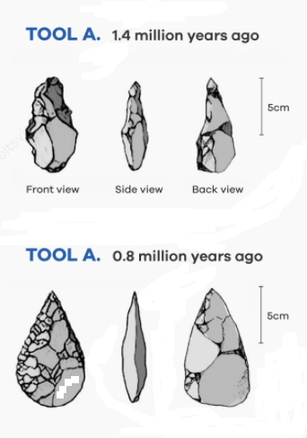 The diagrams below illustrate early tools from 1.4 million years ago and 800,000 years ago