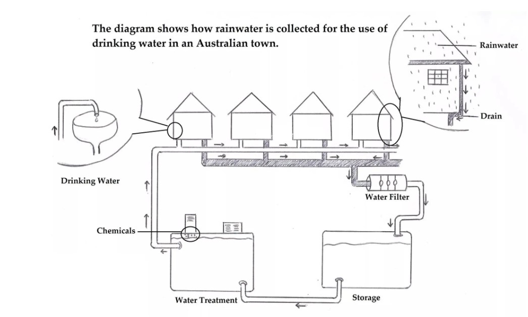 The Diagram shows how rainwater is collected for the use of drinking water in an Australian town