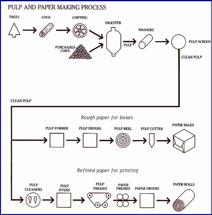 The diagram gives information about the process for making pulp and paper