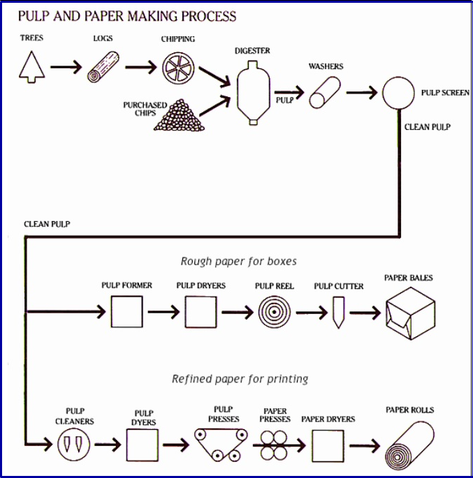 The Paper Making Process 