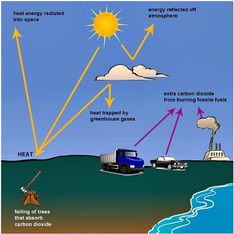 The following diagram shows how greenhouse gases trap energy from the Sun