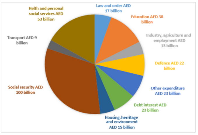 The chart below shows how much money is spent in the budget on different sectors by the UAE government in 2015