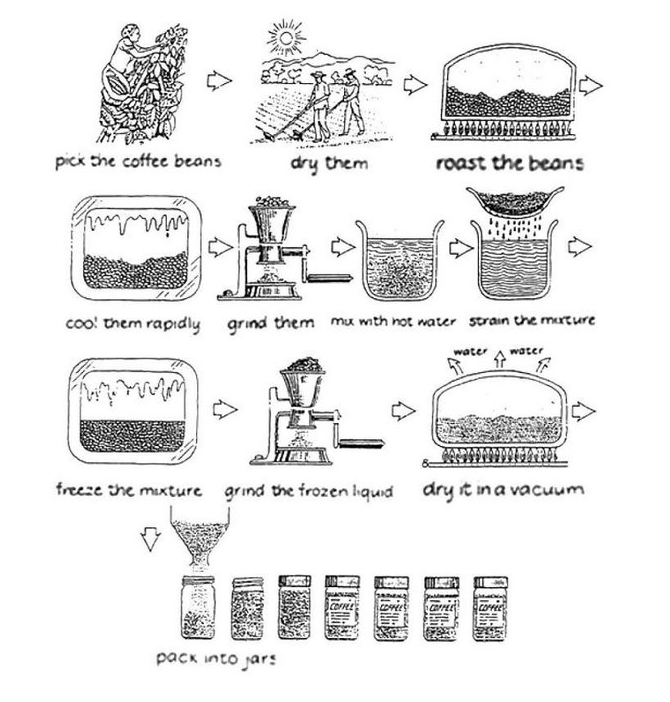 The diagram below shows how coffee is produced and prepared for sale in super market and shops. Summarise the information by selecting and reporting the main features, and make comparisons where relevant.
