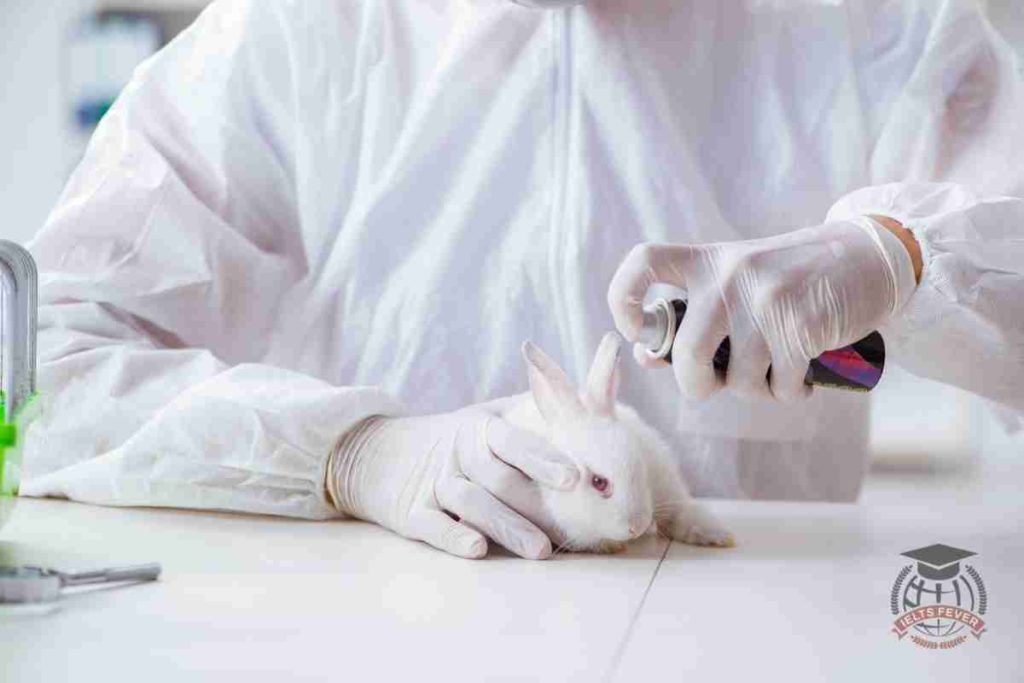 Nowadays Animal Experiments Are Widely Used to Develop New Medicines and To Test the Safety of Other Products