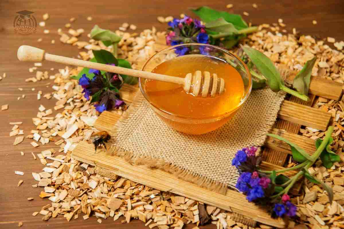 The Diagram Shows The Life Cycle Of The Honey Bee The Diagram Shows The Life Cycle Of The Honey Bee