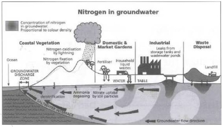 The diagram below shows nitrogen sources and concentration levels in the groundwater of a coastal city