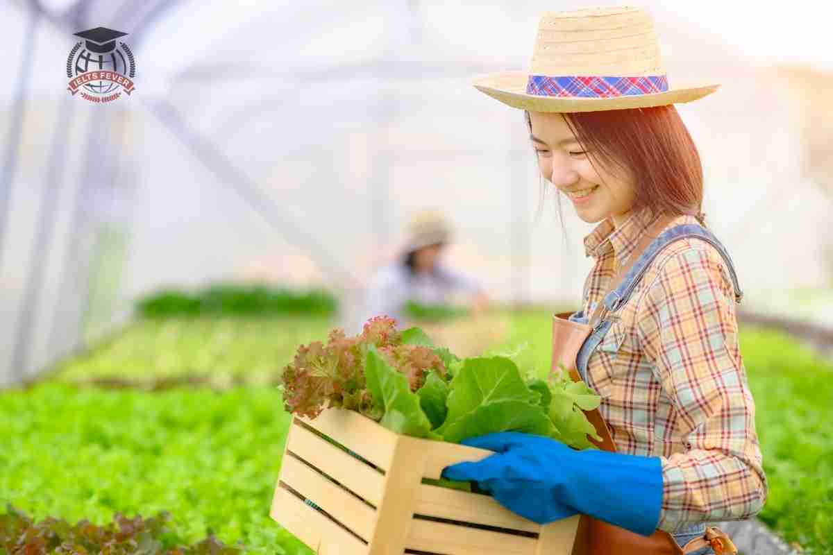 farming ielts essay