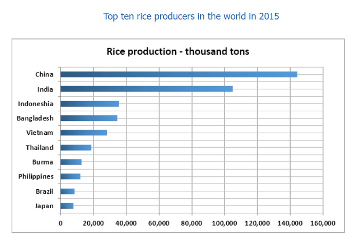 The bar chart below provides information about the top ten rice-producing countries in the world in 2015