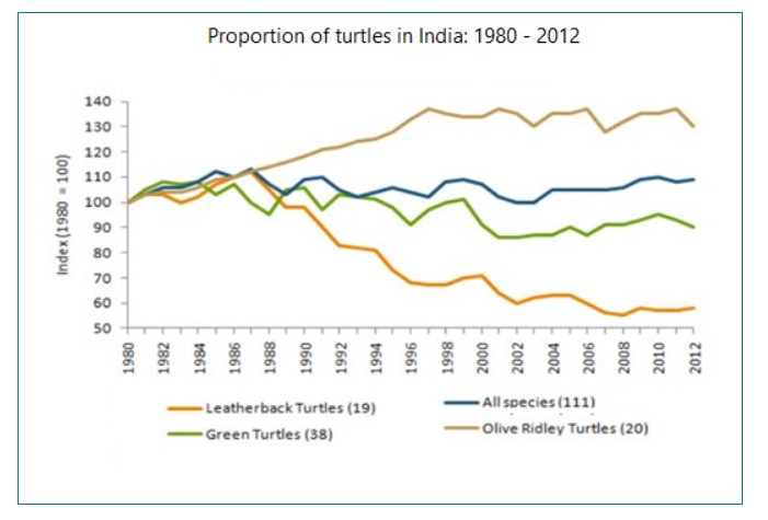 The graph below gives information on the population of turtles in India from 1980 to 2012