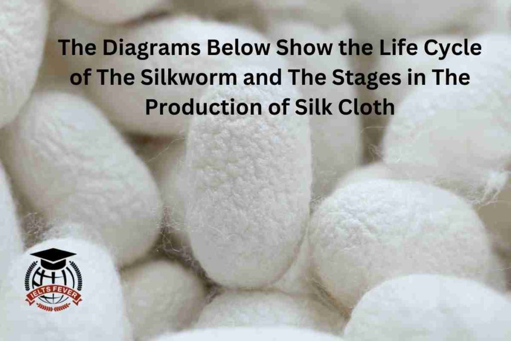 The Diagrams Below Show the Life Cycle of The Silkworm and The Stages in The Production of Silk Cloth AC Writing Task 1