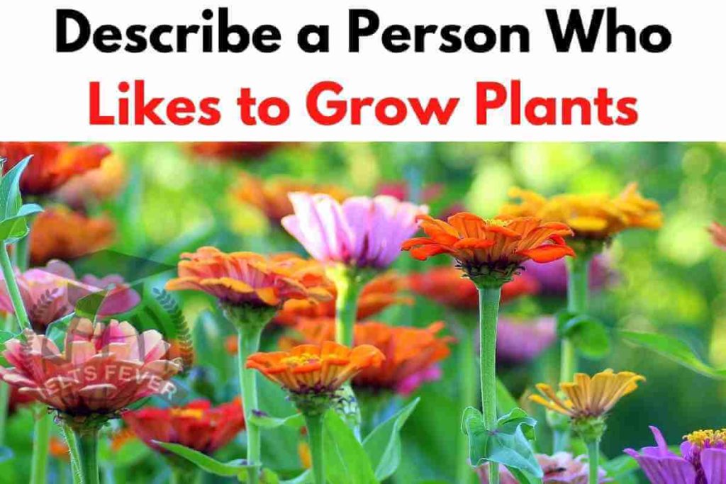 Describe a person who likes to grow plants