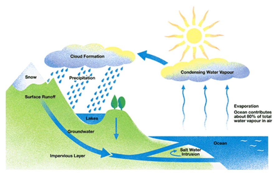 The diagram below shows the water cycle, which is the continuous movement of water on, above and below the surface of the Earth