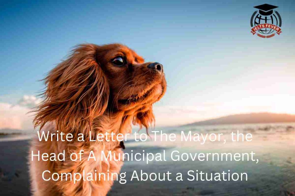 Write a Letter to The Mayor, the Head of A Municipal Government, Complaining About a Situation