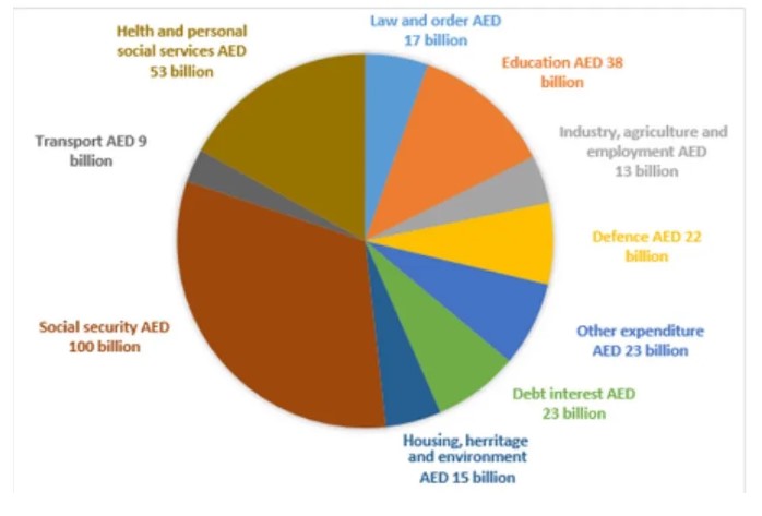 The given pie chart illustrates how much money is spent in the budget on different sectors by the UAE government in 2010.