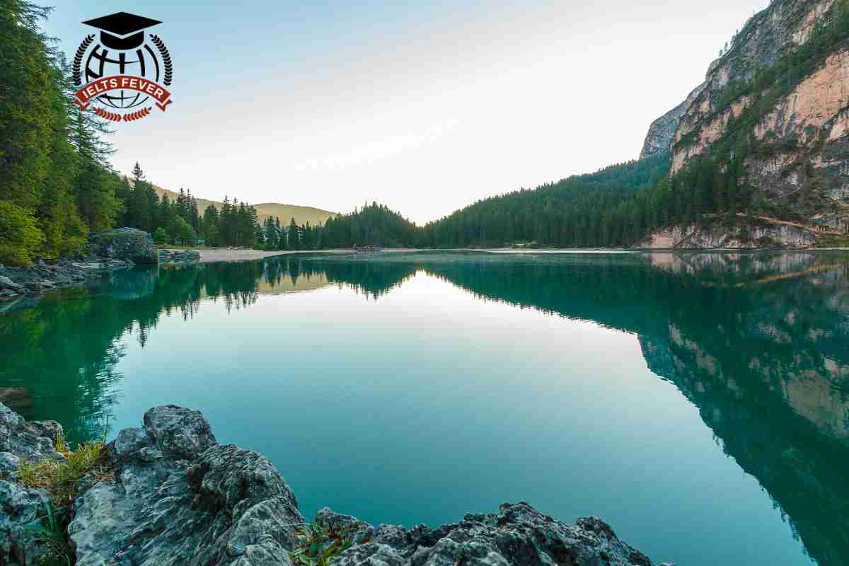 You Have Discovered a Lot of Rubbish in A Lake Near