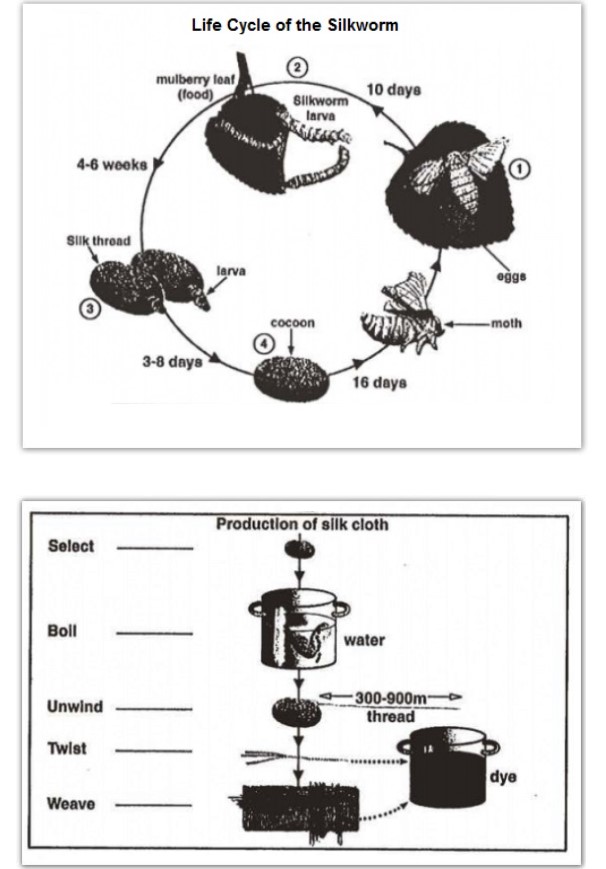 The diagrams below show the life cycle of the silkworm and the stages in the production of silk cloth