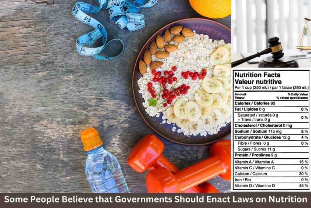 Some People Believe that Governments Should Enact Laws on Nutrition