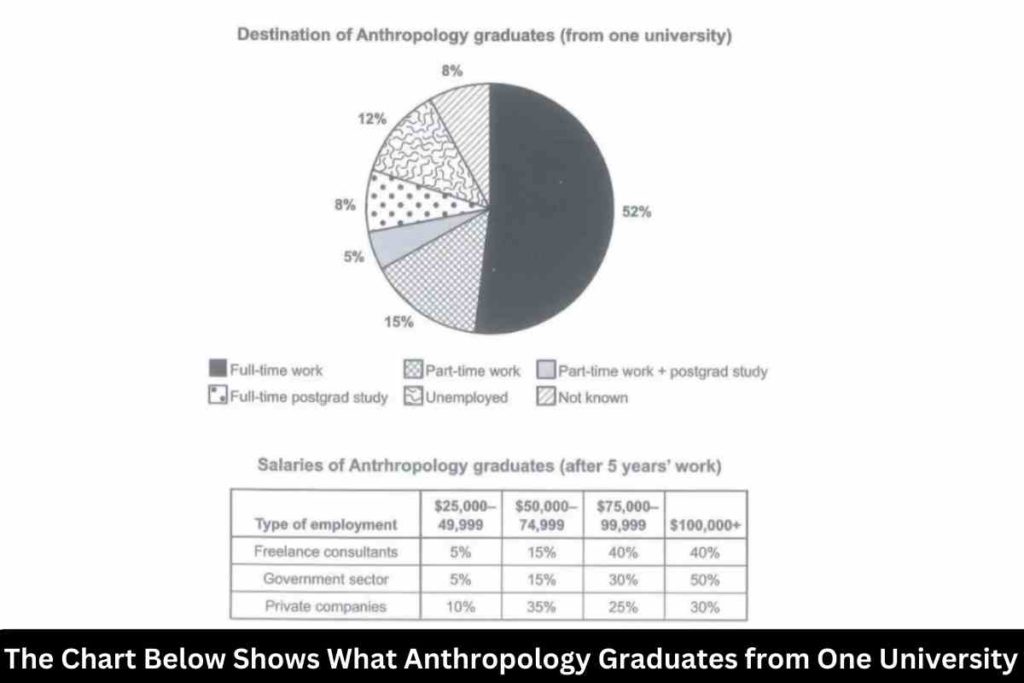 The Chart Below Shows What Anthropology Graduates from One University