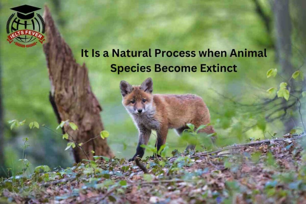 It Is a Natural Process when Animal Species Become Extinct
