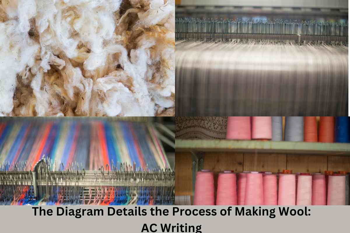 History Making Wool at Diedra Cristina blog