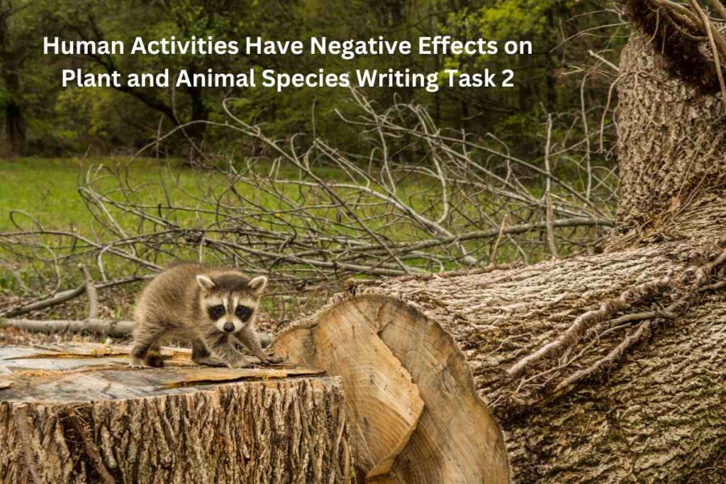 Human Activities Have Negative Effects on Plant and Animal Species Writing Task 2