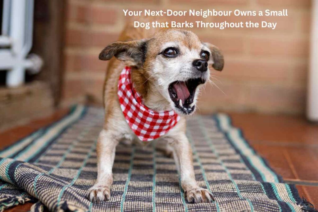 Your Next-Door Neighbour Owns a Small Dog that Barks Throughout the Day