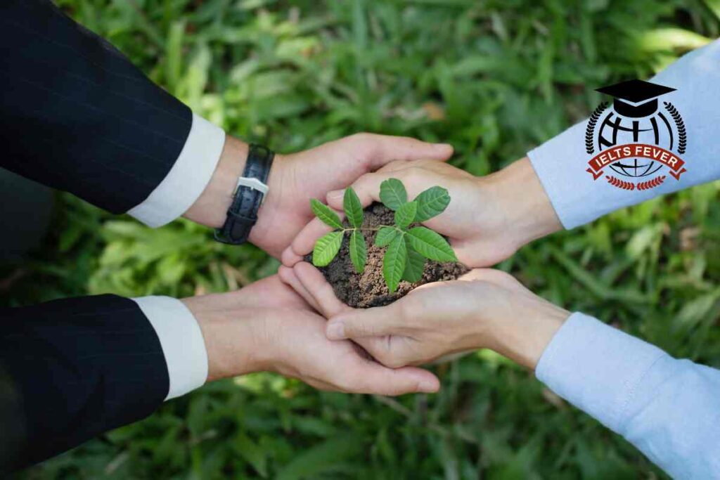 There Is a Growing Emphasis on Sustainable Living and Reducing Environmental Impact in Many Societies