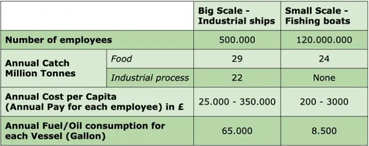 The table below compares the data for the world's large-scale and small-scale sea fishing industries.